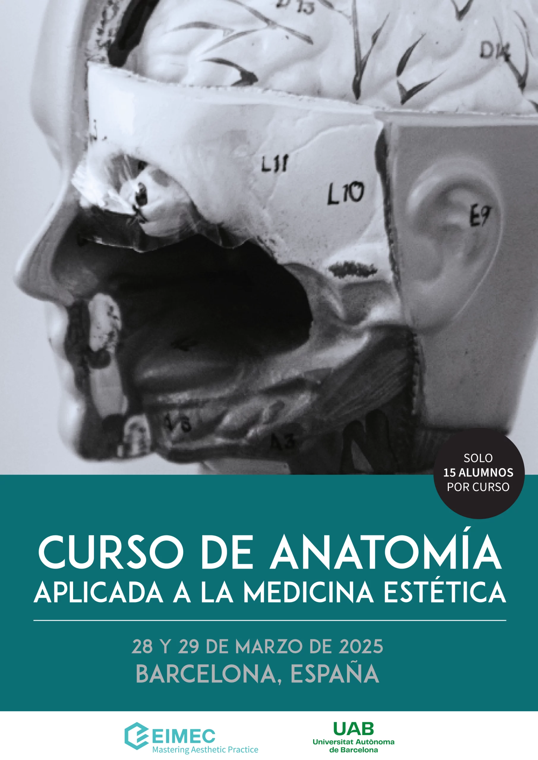 Curso de anatomía aplicada a la medicina estética marzo 2025